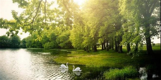 乐虎lehu红瞰花园洋房