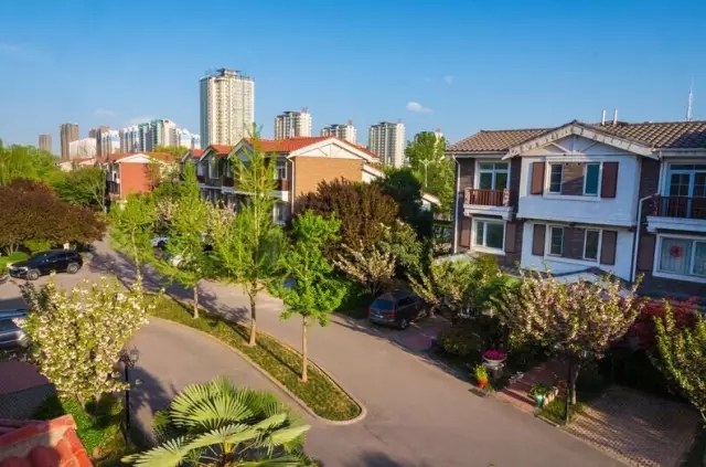 纸杯蛋糕 | 繁花五月，唯爱绵绵